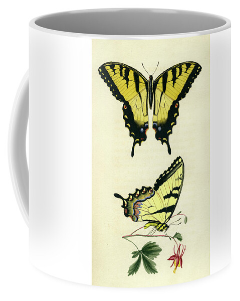 Entomology Coffee Mug featuring the photograph Butterflies by Unknown