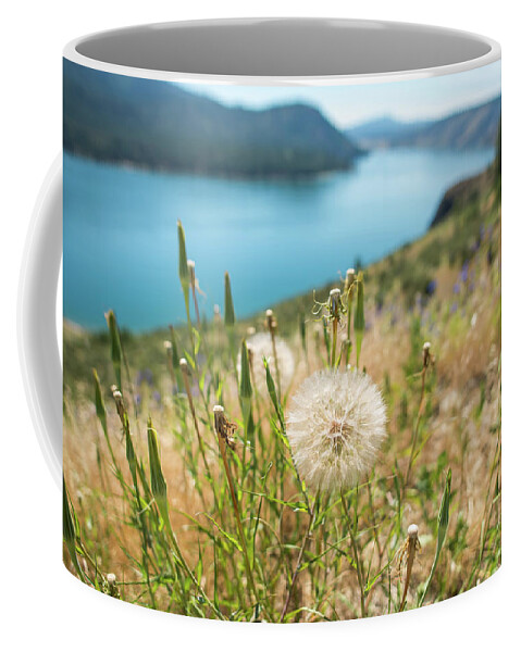River Coffee Mug featuring the photograph Columbia River Scenes On A Beautiful Sunny Day #3 by Alex Grichenko