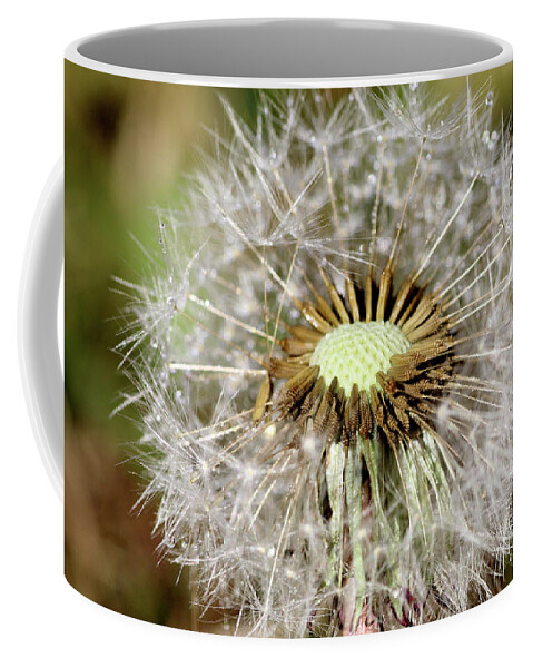 Dandelion Head Coffee Mug featuring the photograph Dandelion head close up #3 by Martin Smith
