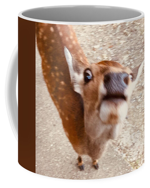 Deer Coffee Mug featuring the photograph Funny deer #1 by Batabatabat Batayan