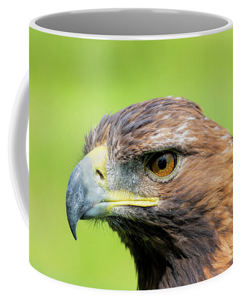 Eagle Coffee Mug featuring the photograph Golden Eagle #3 by Steev Stamford