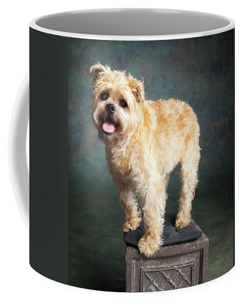 Photography Coffee Mug featuring the photograph Portrait Of A Brussels Griffon Dog #3 by Panoramic Images