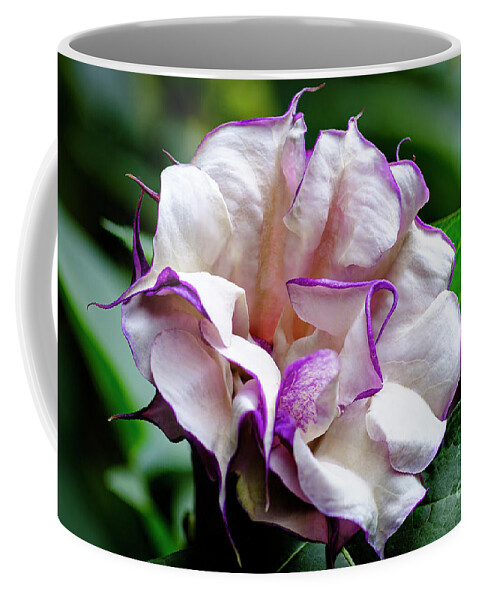Brugmansia Coffee Mug featuring the photograph Purple Trumpet Flower #3 by Raul Rodriguez