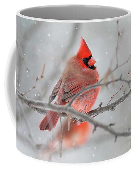 Cardinal Coffee Mug featuring the photograph Snowy Cardinal #3 by Brook Burling