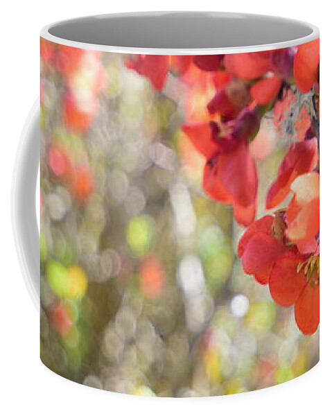 Floral Coffee Mug featuring the photograph Sweet Memories #3 by Bonnie Bruno