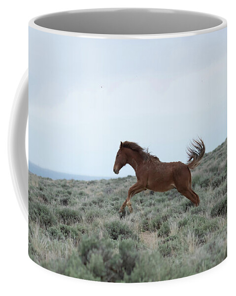 Wyoming Coffee Mug featuring the photograph Wyoming Wild Horses #5 by Patrick Nowotny