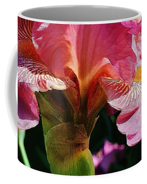 Flora Coffee Mug featuring the photograph Pink Beauty #5 by Bruce Bley