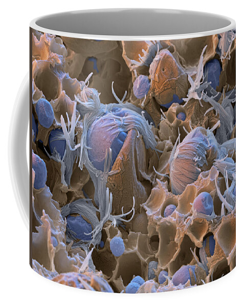 Chemistry Coffee Mug featuring the photograph Polyacrylic Acid Sem #4 by Meckes/ottawa