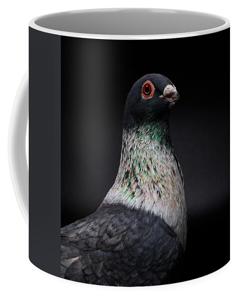 Bird Coffee Mug featuring the photograph Mhlawy Egyptian Swift Otatti by Nathan Abbott