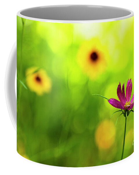 Background Coffee Mug featuring the photograph Wildflowers #5 by Raul Rodriguez