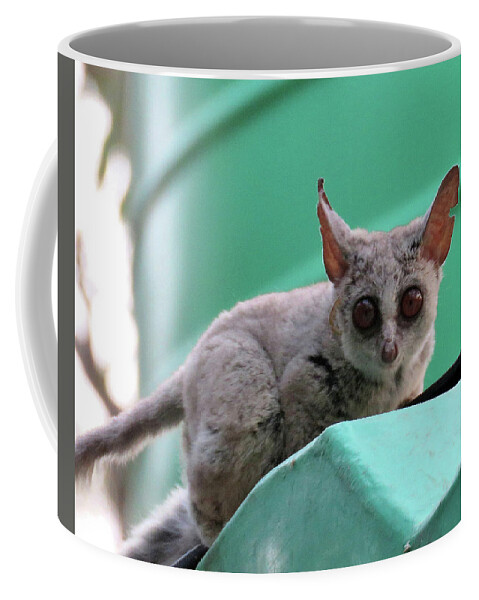 Africa Coffee Mug featuring the photograph 55 by Eric Pengelly
