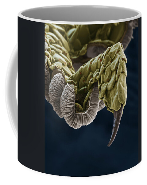 Animal Coffee Mug featuring the photograph Gecko Foot Sem #9 by Meckes/ottawa