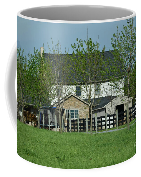 Amish Coffee Mug featuring the photograph A Clear April Afternoon on an Amish Farm by Christine Clark