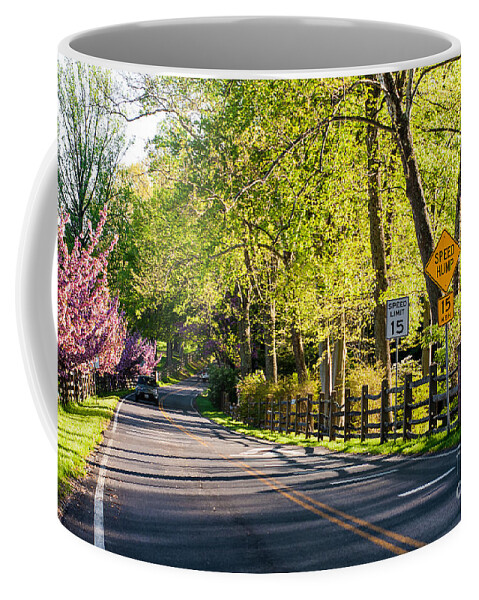 Landscape Coffee Mug featuring the photograph A Country Lane on a Springtime Afternoon by Steve Ember