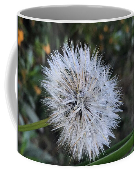 Dandelion Coffee Mug featuring the photograph A Dandelion by Alex King