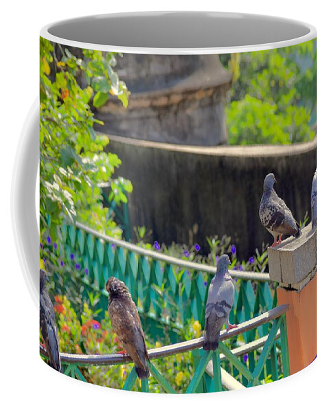 Pigeons Coffee Mug featuring the photograph A Day in the Park by Debra Grace Addison