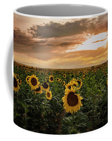 Sunflower Coffee Mug featuring the photograph A Field of Sunflowers at Sunset by Kevin Schwalbe