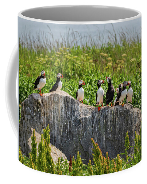 Puffins Coffee Mug featuring the photograph A Gathering of Puffins by Scene by Dewey