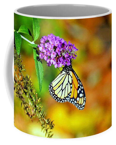 Monarch Butterfly Coffee Mug featuring the photograph A Moment In Time by Marla McPherson