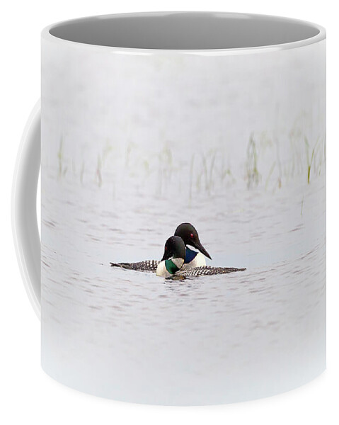 Common Loon Coffee Mug featuring the photograph A pair of Loons in mating colors by Al Mueller