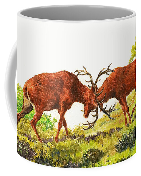 Rutting Coffee Mug featuring the painting A pair of Red Deer rutting by Eric Tansley