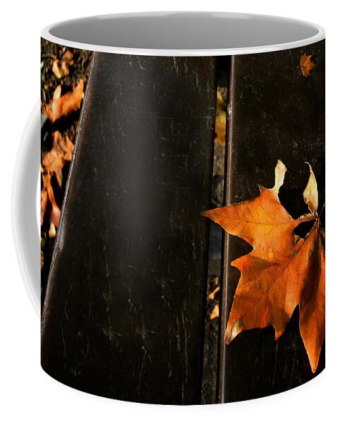 Autumn Coffee Mug featuring the photograph A Park Bench in Autumn by Steve Ember