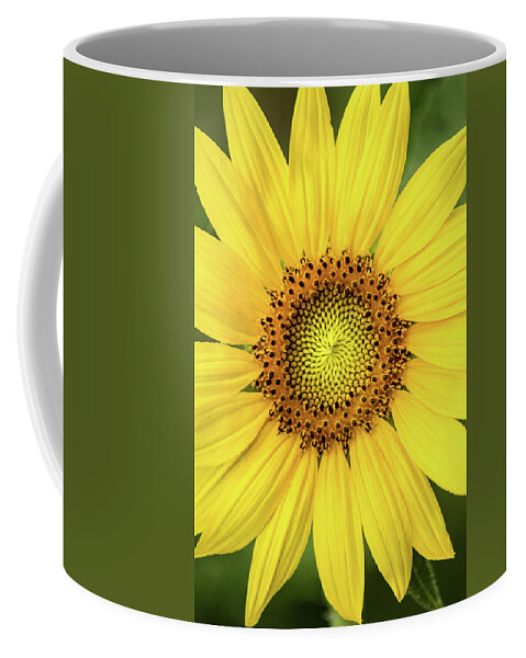 Flower Coffee Mug featuring the photograph A Perfect Sunflower by Don Johnson