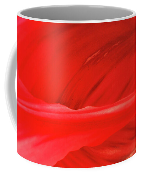 Tulip Coffee Mug featuring the photograph A Single Tulip Petal by Kevin Schwalbe