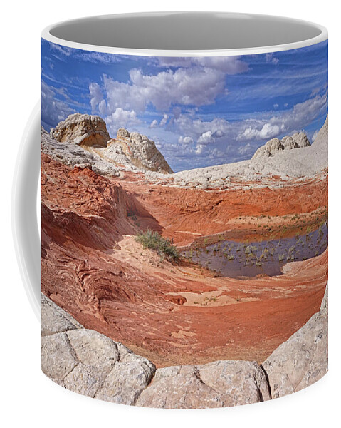 White Pockets Coffee Mug featuring the photograph A Strange World by Theo O'Connor