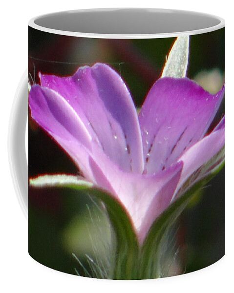 Flower Coffee Mug featuring the photograph A study in lilac by Karin Ravasio