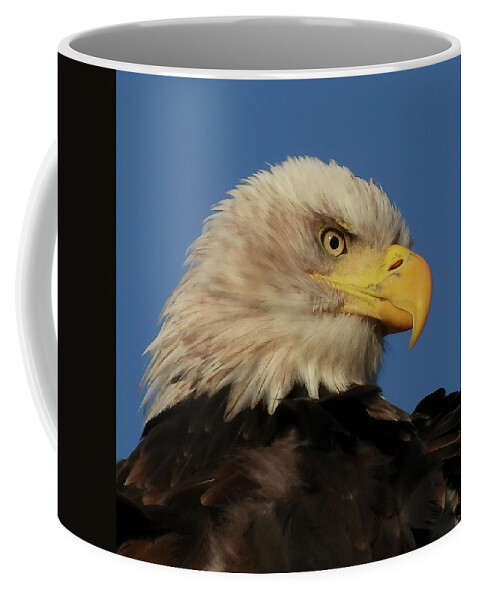  Coffee Mug featuring the photograph A Twinkle in the Eye by Jack Wilson