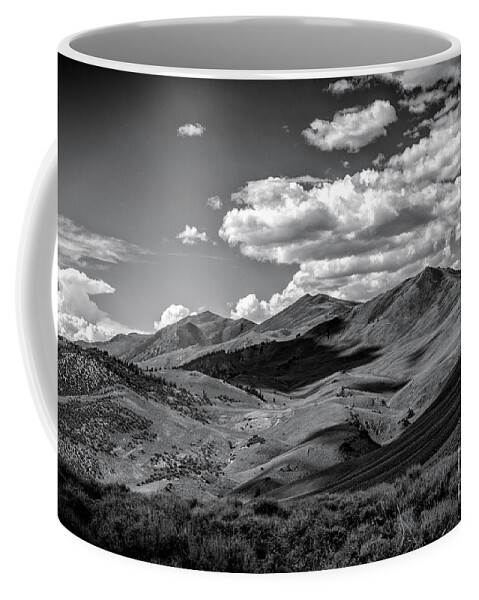 White Mountains Coffee Mug featuring the photograph A White Mountain Day by Jennifer Magallon