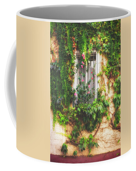 Window Coffee Mug featuring the photograph A Window in Le Suquet Cannes by Lauri Novak