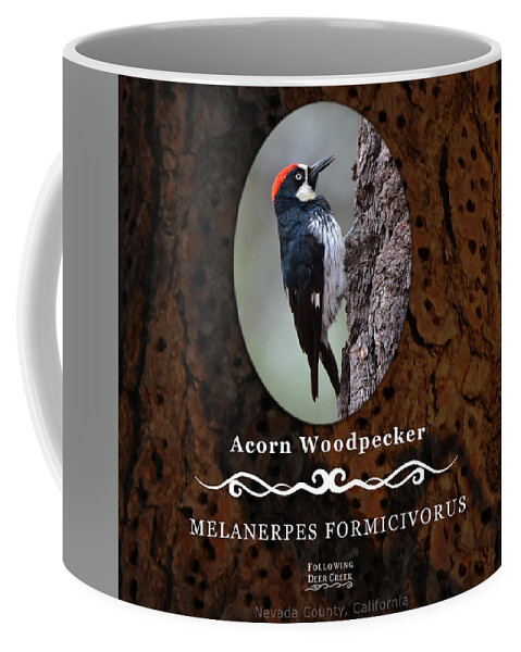 Woodpecker Coffee Mug featuring the digital art Acorn Woodpecker Granary Tree by Lisa Redfern