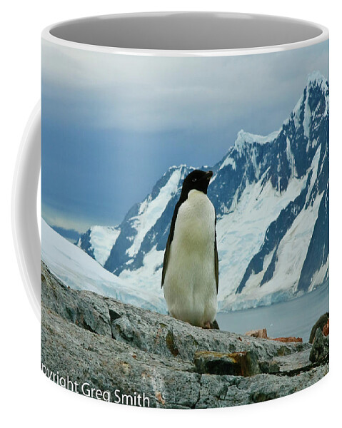 Adelie Penguin Peterman Island Antartica Coffee Mug featuring the photograph Adelie penguin on Peterman Island Antartica by Greg Smith