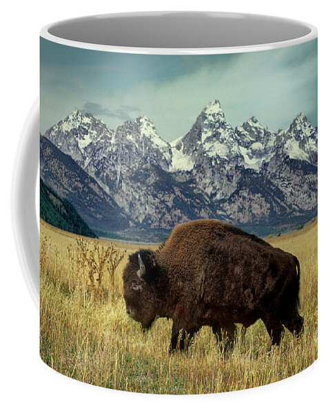Dave Welling Coffee Mug featuring the photograph Adult Bison Bison Bison Wild Wyoming by Dave Welling