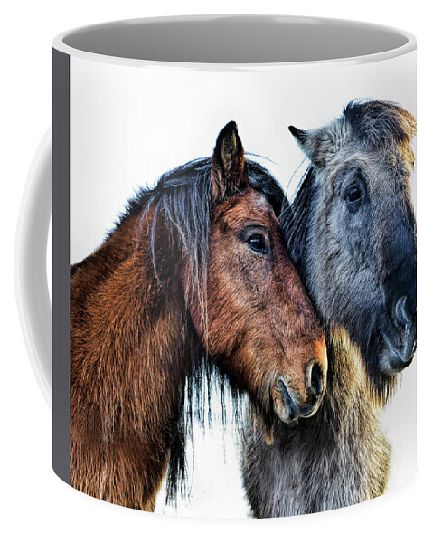 Affection Coffee Mug featuring the photograph Affection by Diane LaPreta