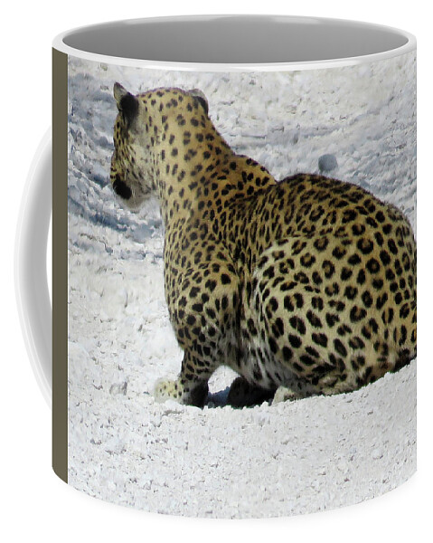 Africa Coffee Mug featuring the photograph African Leopard by Eric Pengelly