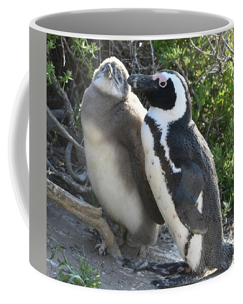 Penguin Coffee Mug featuring the photograph African Penguin with Chick by Ben Foster