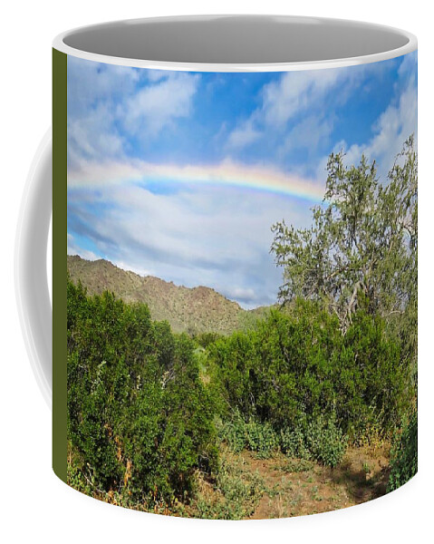 Arizona Coffee Mug featuring the photograph After an Arizona Winter Rain by Judy Kennedy