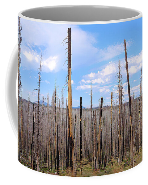 After Fire In Lassen Volcanic Park Coffee Mug featuring the photograph After Fire In Lassen Volcanic Park by Viktor Savchenko