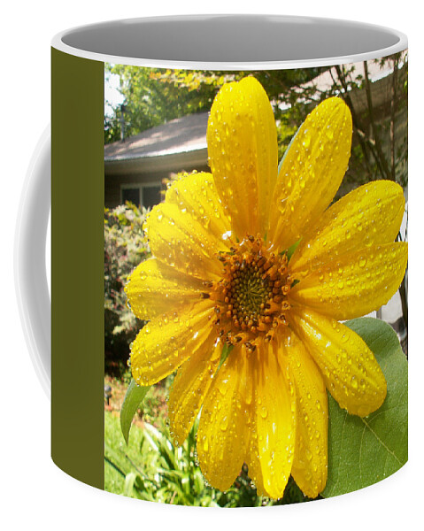 Flowers Coffee Mug featuring the photograph After the Rain by Karen Stansberry