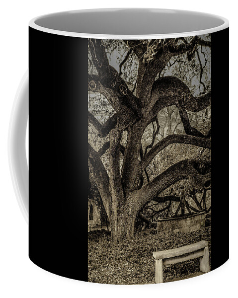 Tree Coffee Mug featuring the photograph Alamo Tree by Tito Slack
