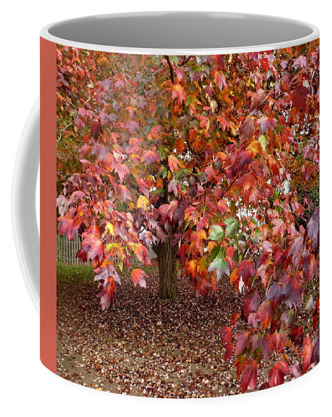 Fall Coffee Mug featuring the photograph All Colors Welcome by Lyuba Filatova