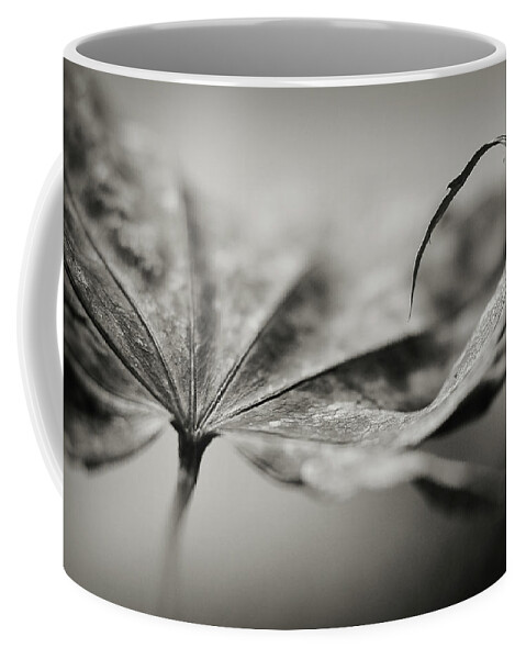 Black And White Coffee Mug featuring the photograph All In by Michelle Wermuth