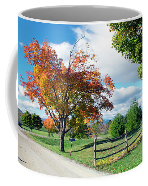 Foliage Coffee Mug featuring the photograph All Souls by Rik Carlson