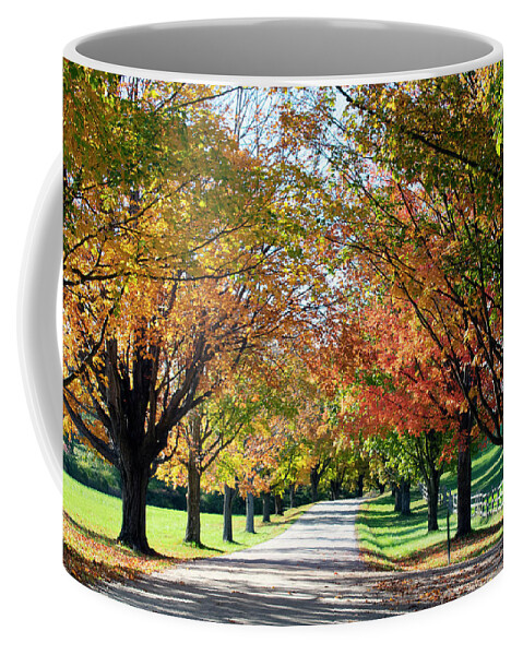 All Coffee Mug featuring the photograph All Souls_2 by Rik Carlson