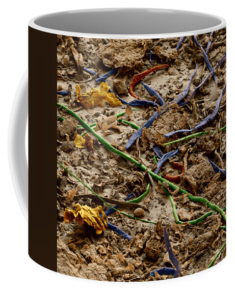 Allergen Coffee Mug featuring the photograph Allergens In Household Dust by Meckes/ottawa