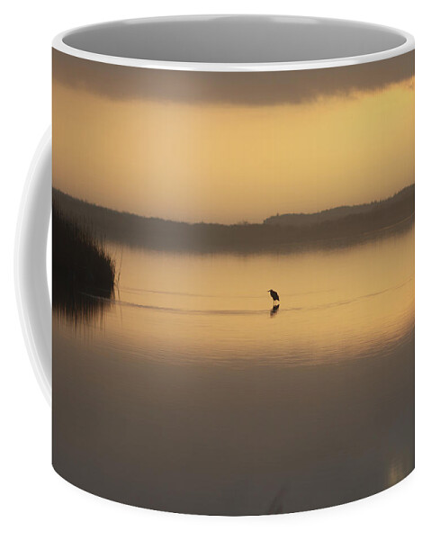 Water Coffee Mug featuring the photograph Alone at dawn by Jerry Mitchell