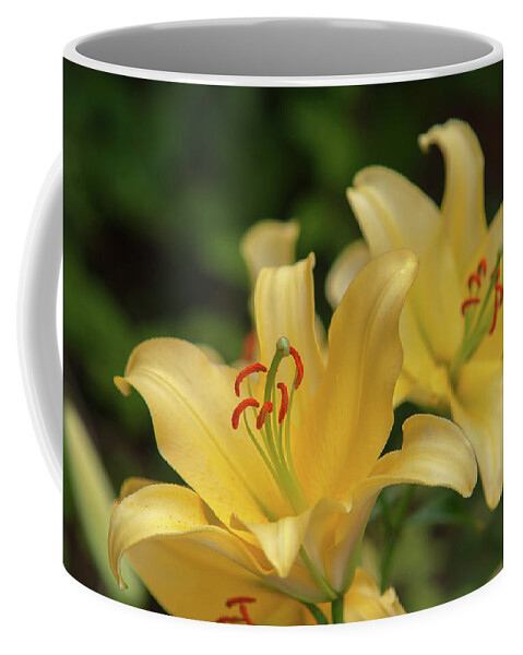 Jenny Rainbow Fine Art Photography Coffee Mug featuring the photograph Amazing Grace of Lilies - Vong 1 by Jenny Rainbow